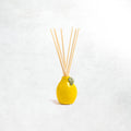 Wick + Vessel Limone Fruit 100ml Diffuser